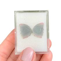 Turmalina Bicolor Placa Borboleta Par 7,81ct (1) Turmalina Bicolor Placa Borboleta Par 7,81ct (1)