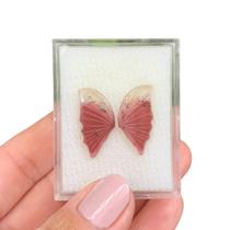 Turmalina Bicolor Placa Borboleta Par 7,81ct (2) Turmalina Bicolor Placa Borboleta Par 7,81ct (2)