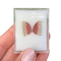 Turmalina Bicolor Placa Borboleta Par 7,87ct Turmalina Bicolor Placa Borboleta Par 7,87ct