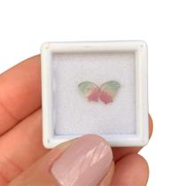 Turmalina Bicolor Placa Par Borboleta 0,76ct Turmalina Bicolor Placa Par Borboleta 0,76ct