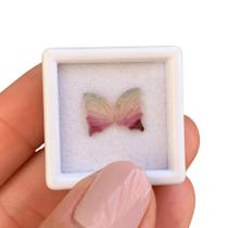 Turmalina Bicolor Placa Par Borboleta 1,67ct Turmalina Bicolor Placa Par Borboleta 1,67ct