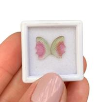 Turmalina Bicolor Placa Par Borboleta 1,97ct Turmalina Bicolor Placa Par Borboleta 1,97ct