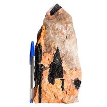 Turmalina no Quartzo e Feldspato Pé e Bico Serrado 3Kg 24cm Turmalina no Quartzo e Feldspato Pé e Bico Serrado 3Kg 24cm