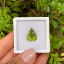 Turmalina Verde Amarelada Gota 6,55ct