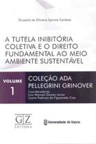 Tutela Inibitória Coletiva e o Direito Fundamental ao Meio Ambiente Sustentável, A
