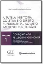 Tutela Inibitória Coletiva e o Direito Fundamental ao Meio Ambiente Sustentável, A Sortido