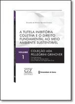 Tutela Inibitória Coletiva e o Direito Fundamental ao Meio Ambiente Sustentável, A