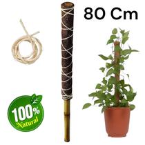 Tutor 80 Cm Para Plantas Trepadeira Bastão Fibra De Coco e Bambu Para Orquídeas Jiboias