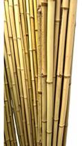 Tutor Bambu Natural - 10 Peças C/80 Cm Tratado Para Umidade - Lidernet
