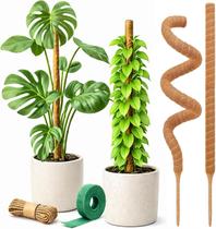 Tutor de plantas Craft911 76 cm flexível com musgo, kit com 2 unidades Tutor de plantas Craft911 76 cm flexível com musgo, kit com 2 unidades