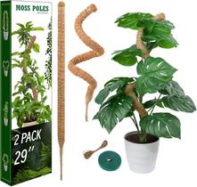 Tutor de plantas LveSunny, 2 unidades, 74 cm, postes de musgo flexíveis Tutor de plantas LveSunny, 2 unidades, 74 cm, postes de musgo flexíveis