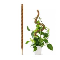 Tutor Estaca de Fibra de Coco Flexível Para Plantas 80cm Tutor Estaca de Fibra de Coco Flexível Para Plantas 80cm