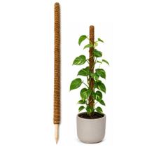 Tutor Estaca de Fibra de Coco Para Plantas 100cm