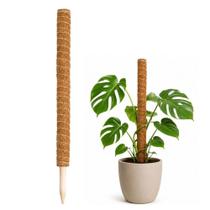 Tutor Estaca de Fibra de Coco Para Plantas 80cm Tutor Estaca de Fibra de Coco Para Plantas 80cm