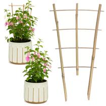 Tutor Estacas de Bambu Tutor de Bambu Natural Treliça para Crescimento de Plantas Jiboia Hera Tutor Estacas de Bambu Tutor de Bambu Natural Treliça para Crescimento de Plantas Jiboia Hera