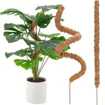 Tutor Maleável Flexível Fibra De Coco Para Jiboia Trepadeiras 60, 80, 100 cm Tutor Maleável Flexível Fibra De Coco Para Jiboia Trepadeiras 60, 80, 100 cm
