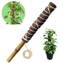 Tutor Para Plantas Trepadeiras Fibra De Coco Natural 40cm