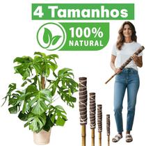 Tutor Para Plantas Trepadeiras Orquídeas Fibra De Coco Bambu Natural 40 cm a 100 cm Ecológico