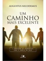Um caminho mais excelente Um caminho mais excelente
