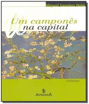 Um Campones na Capital - Aymara -