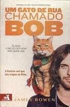 Um Gato de Rua Chamado Bob - Ed. Econômica - Novo Conceito