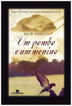 Um pombo e um menino Um pombo e um menino