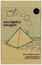 Uma álgebra selvagem