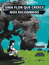 Uma Flor Que Cresce Nos Escombros