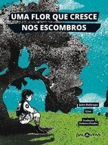 Uma Flor Que Cresce Nos Escombros