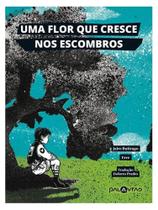 Uma flor que cresce nos escombros