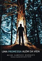 Uma Promessa Além da Vida - Romance Espiritual