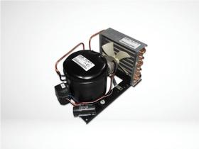 Unid condensadora elgin s/tanque s/valvula 1/6hp r22 127v - 45ucm2010ds1