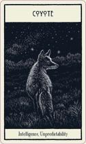 Untamed Spirit: Animal Oracle (50 Cards and Guidebook) - Red