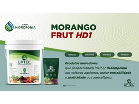 Uptec Morango Frut-HD1 2Kg - Tecseed
