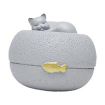 Urna Memorial De Resina Gato Anjo: Recipiente Prático Para Recordar O Pet, Presente Para Luto, Caixa