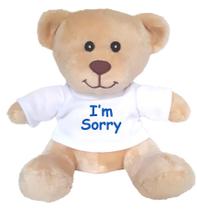 Ursinho de pelúcia Hug-a-booboo I'm Sorry” 15 cm com camiseta