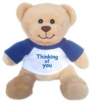 Ursinho de pelúcia Hug-a-booboo Thinking of You 15cm Ursinho de pelúcia Hug-a-booboo Thinking of You 15cm