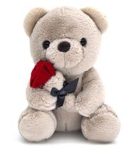 Ursinho de pelúcia HWD 25 cm com bicho de pelúcia rosa para o Dia dos Namorados Ursinho de pelúcia HWD 25 cm com bicho de pelúcia rosa para o Dia dos Namorados