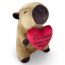 Urso Capivara de Pelúcia Toybrink 20cm Coração Presente Amor