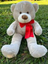 Urso De Pelucia Macio Bicho 50cm Criança Presente Com Laço Várias Cores