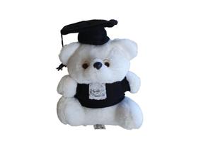Urso de pelúcia para presente de formatura Urso de pelúcia para presente de formatura