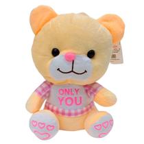 Urso Pelúcia Romântico Fofinho Only You Rosa Azul 20cm