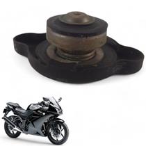 USADO: Tampa Radiador Kawasaki Ninja 250 R 2010