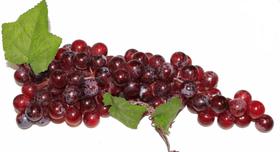 Uva Artificial Para Decoração De Café Jantar Santa Ceia VINHO GRANDE