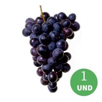 Uva Franceza Preta Enxertada Uva Franceza Preta Enxertada