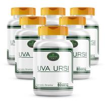 Uva Ursi 100% Natural 360 Cápsulas 6 Frascos