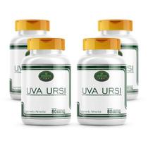 Uva Ursi 100% Natural Cáps 4 Potes - Arctostaphylos Uva-Ursi