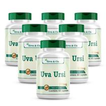 Uva-Ursi 360 Cápsulas De 500Mg Kit 6 Frascos Ursina