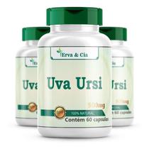 Uva-Ursi Natural Cápsulas De 500Mg Kit 3 Frascos Búxulo