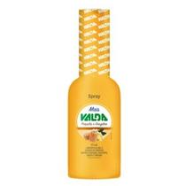 Valda Spray Mais Própolis e Gengibre 35ml Valda Spray Mais Própolis e Gengibre 35ml